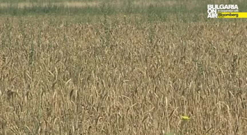 Публични дружества с участие на офшорки ще купуват земя