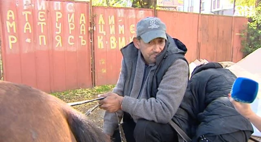 Веганите се загрижиха и за конете, излизат на протест срещу каруците в София