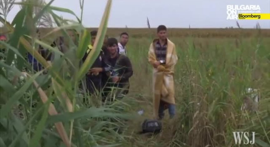 Св. Кьосева: Унгария има план за включване на армията в охраната по границата срещу мигрантите