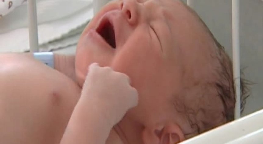 Снимка: Архив