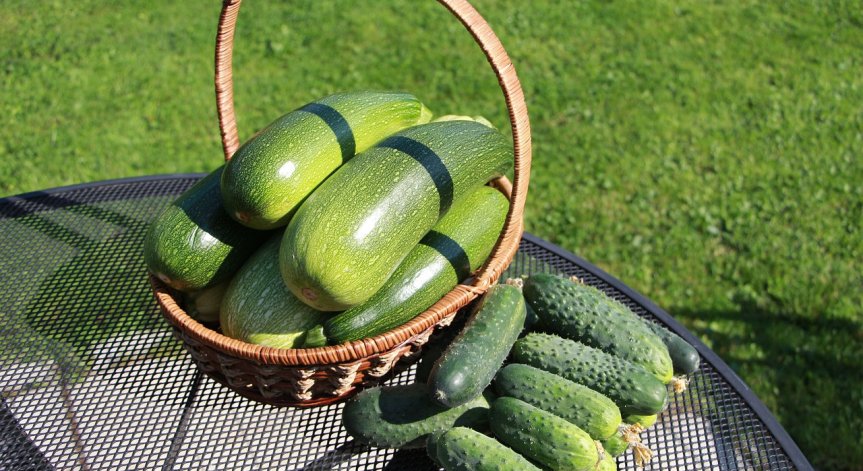 Бързи крокети с тиквички и моцарела