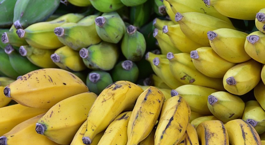 Голям удар в Русия.