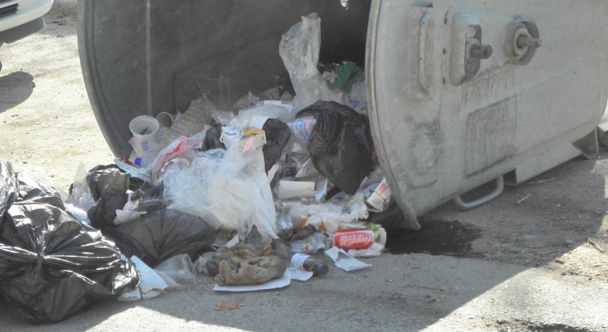 Столичани си возят боклука с коли, сметоизвозването в квартала - рядкост