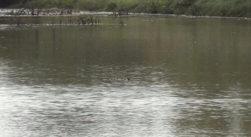 Откриха тялото и на второто момче, изчезнало в Янтра