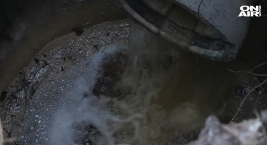 Оцветена вода с неприятна миризма замърсява Дунав край Русе