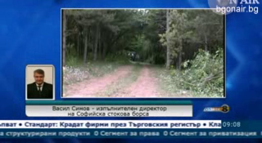 Търсенето на дървесина е по-голямо от предлагането