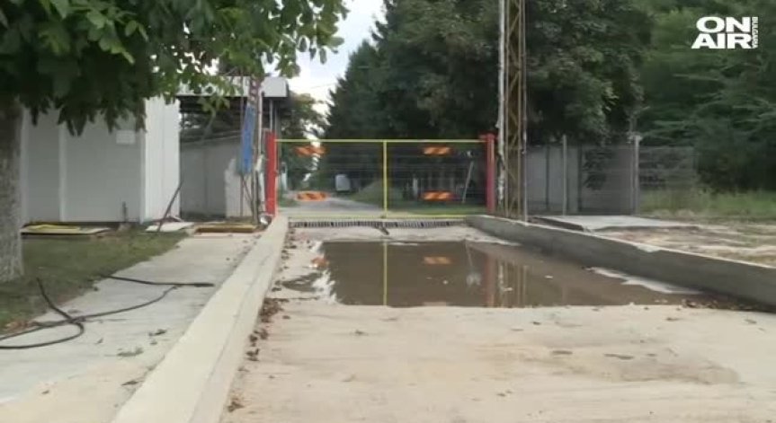 Ветеринарен екип на ЕС идва у нас заради африканската чума