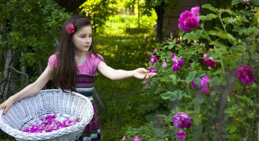26 области без данък печалба