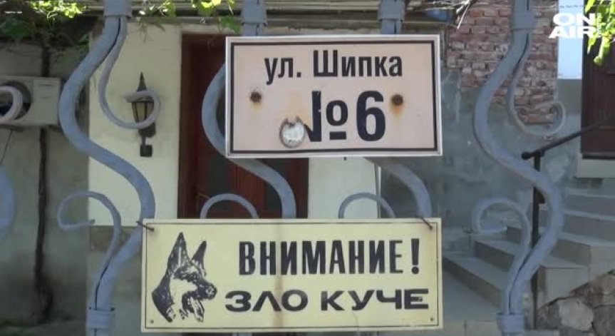 Домашно куче нахапа зверски 2-годишно дете в Крумово