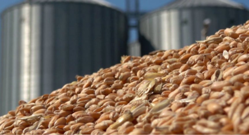 Русия и Украйна не успяха да се договорят за допускане на нови кораби със зърно