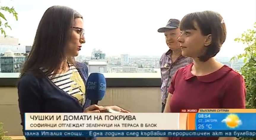 Градината, която живее на покрива: Земеделие в градска среда