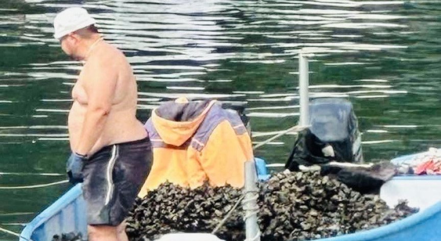 Инспектори на ИАРА хванаха мъж, извадил незаконно 75 кг черна морска мида
