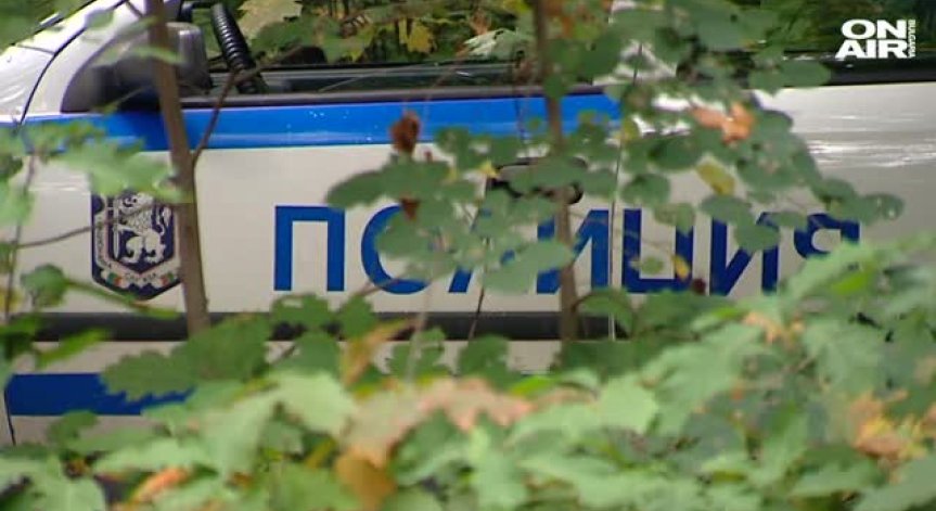 Дървото, убило човек в София-прогнило от дъждовете
