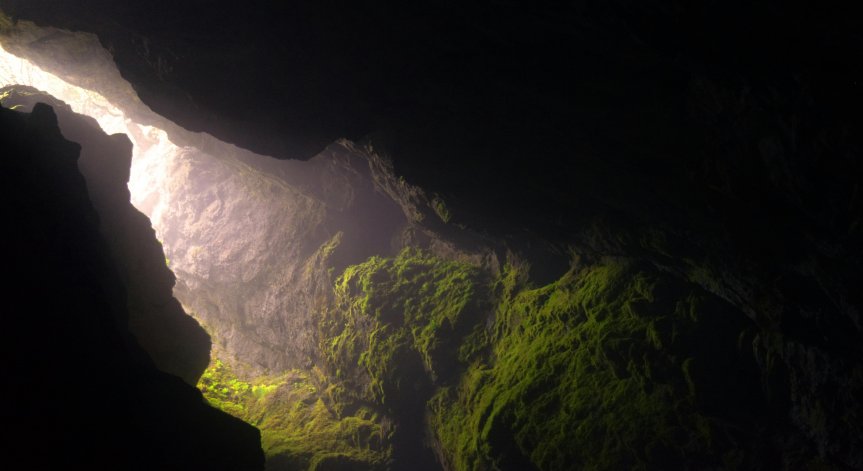 Изследването може да е ключово.