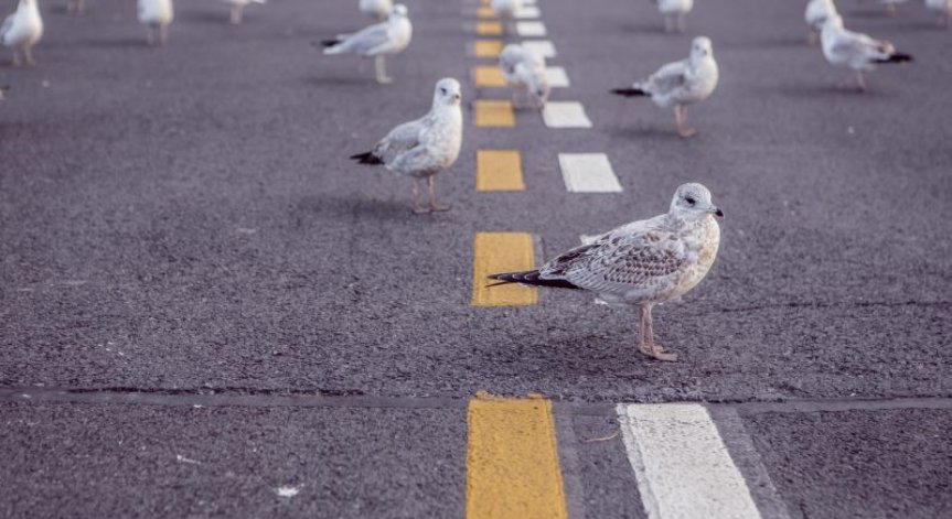 7 неочаквани знака, че ставате за предприемач