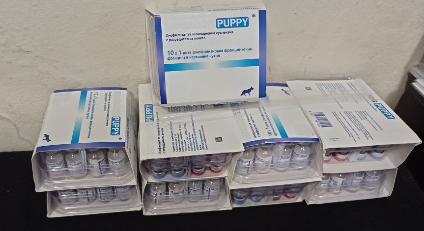 Митничари спипаха ветеринарни ваксини, паспорти и чипове за домашни любимци