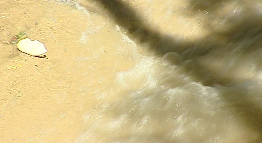 Откриха „ешерихия коли” и „чревни ентерококи” в морската вода във Варна