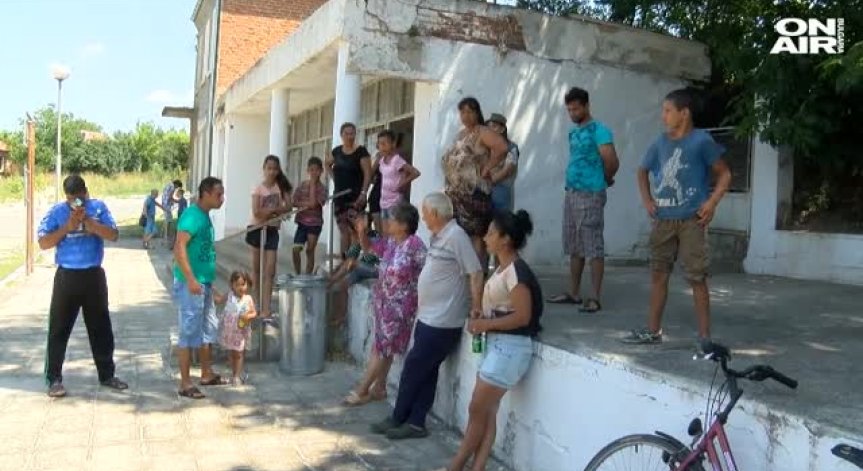 Инвестиция или излишен разход е застраховката на животните?