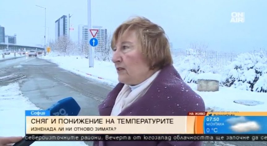 От Столичния инспекторат: 166 снегорина ефективно са работили през нощта
