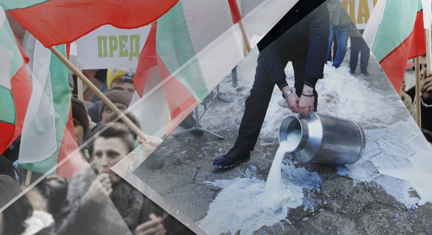 Фермери от Източните Родопи на протест заради ниските изкупни цени на млякото