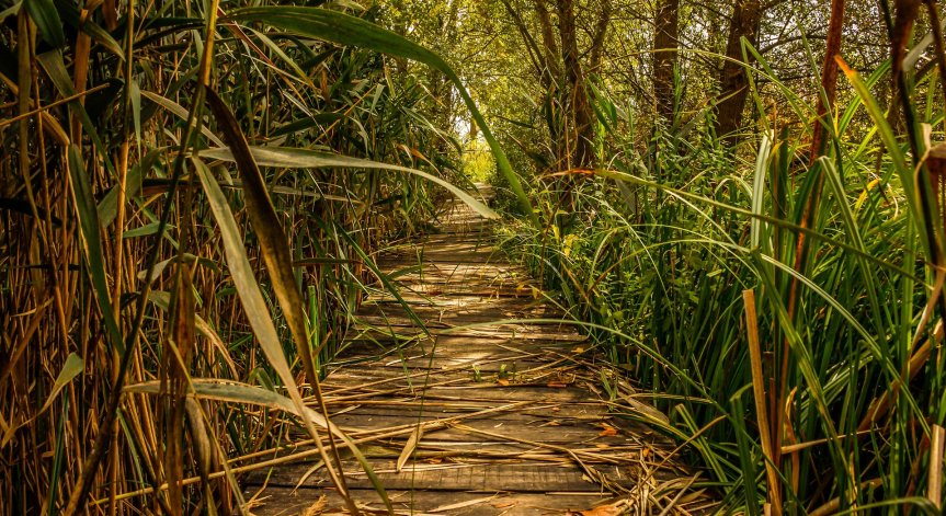 ЕК с наказателна процедура срещу България заради 