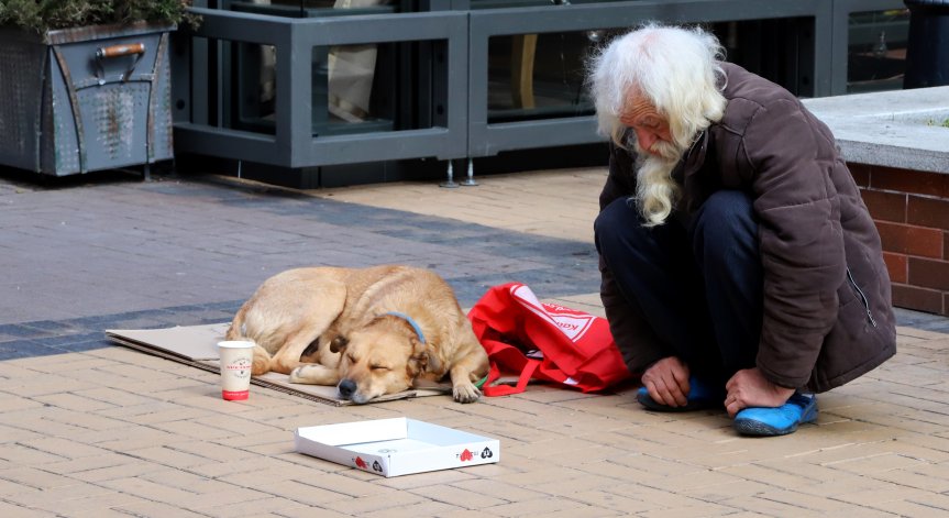 В Плевенско разбиха група, принуждавала българи да просят в Швеция