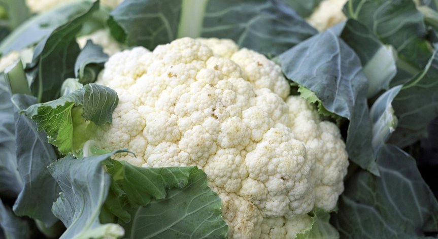 Източник на редица витамини: Ползите на карфиола за здравето 