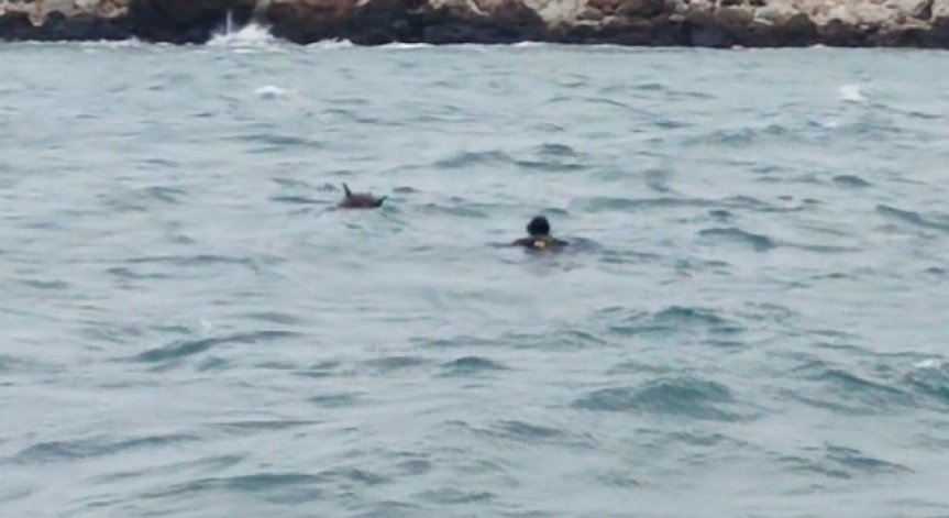 Обезвреждат плаваща мина в морето край Варна, евакуираха хората от района