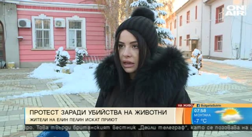 Елин Пелин на протест: Тровят се бездомни и домашни кучета