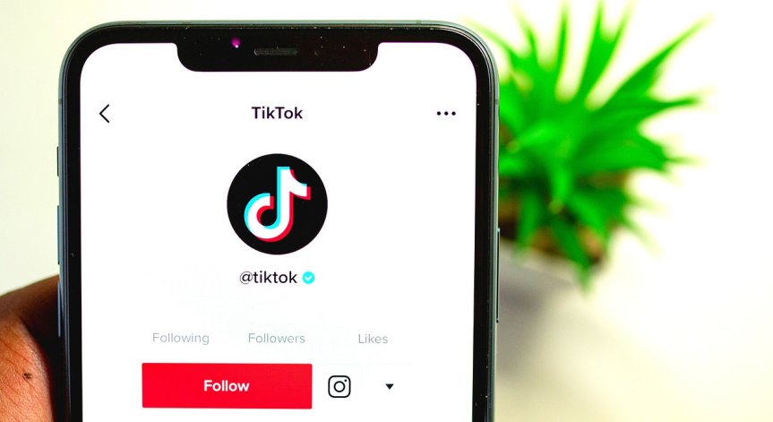 TikTok ще се бори със закона, който иска да забрани приложението в САЩ