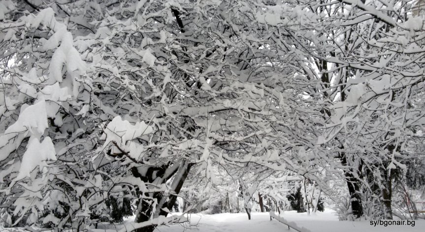 МВР обяви за усложнена пътна обстановка на 17 януари