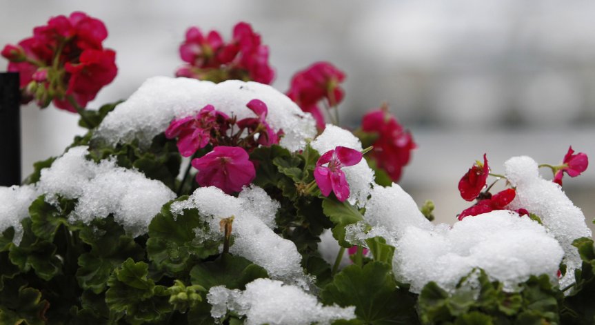 В края на седмицата ще има затопляне.