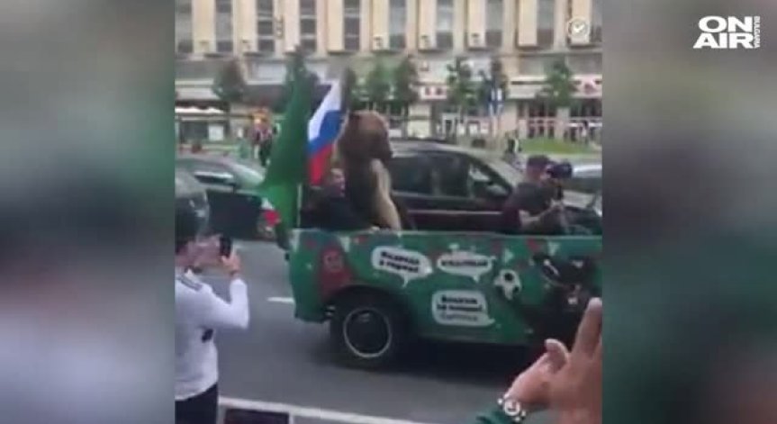 Светът е футбол - дори сред животните!