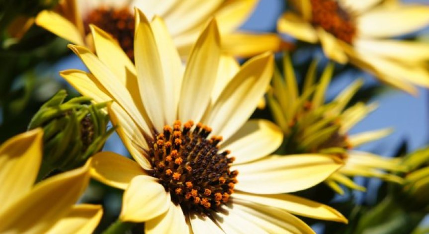 Слънчева събота, живакът скача до 33 градуса