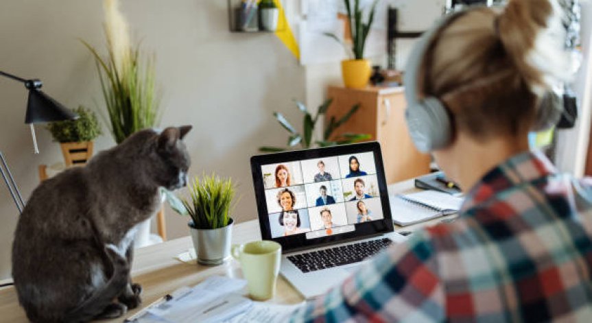 Работата от разстояние се настанява трайно - ще останат ли офисите в миналото?