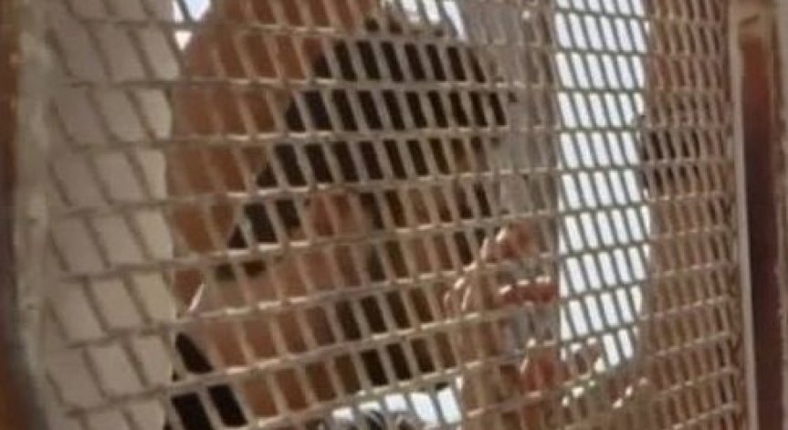 Bild: Германия очаква бежанците в страната да достигнат 1.5 млн. до края на 2015