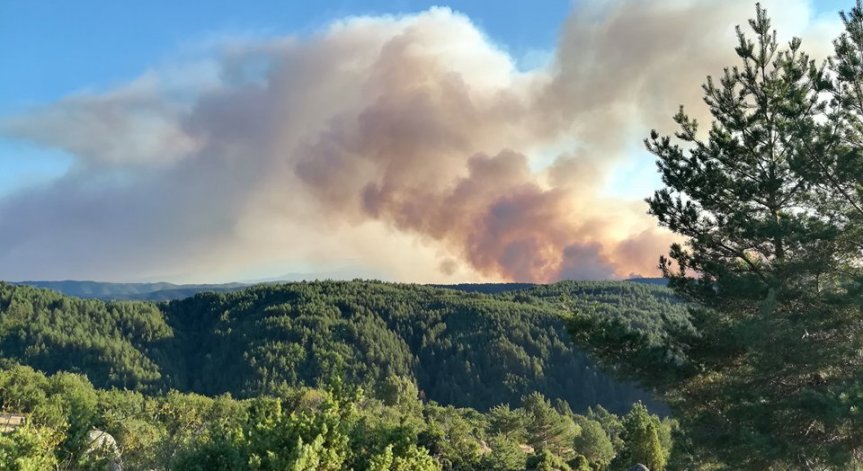 50 год. и 15 млн. лв. ще са нужни за възстановяване на гората след пожара край Кресна