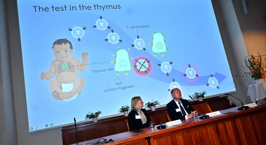 Нобеловата награда за медицина е за пробив в областта на имунната система