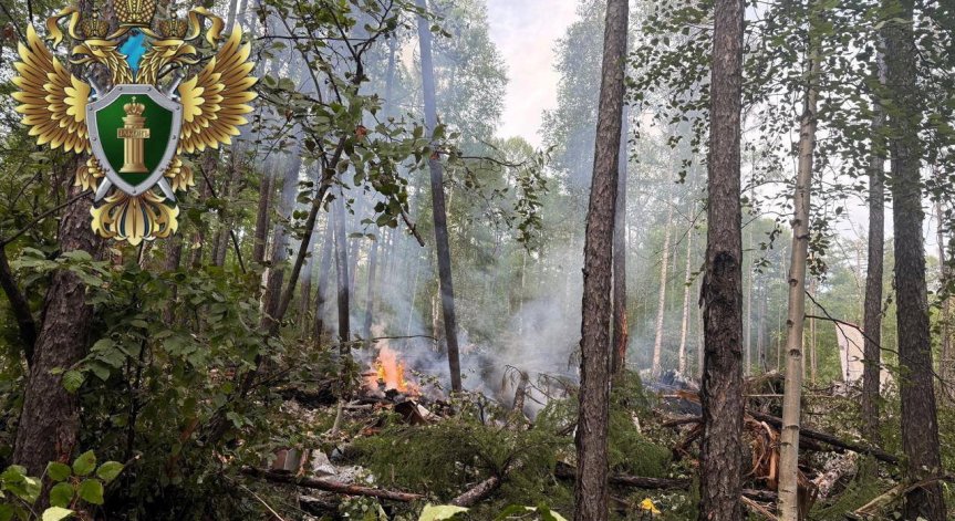 Всички 48 души на борда на Ан-24 са загинали.