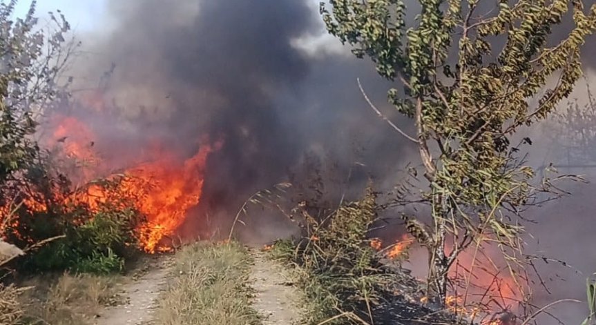 Огромен пожар край Пловдив, силният вятър събори дървета