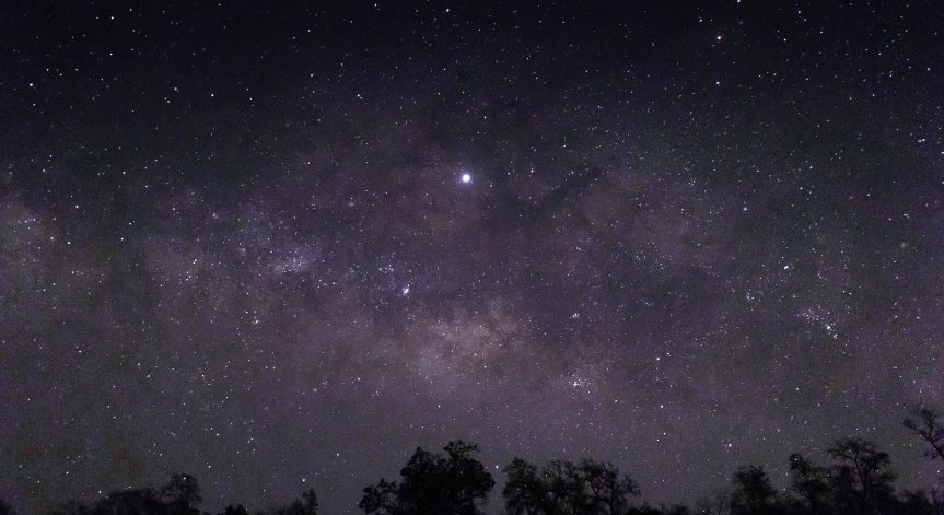 Двойната звезда NGC3603-A1 се намира в гъстия звезден куп NGC 3603.