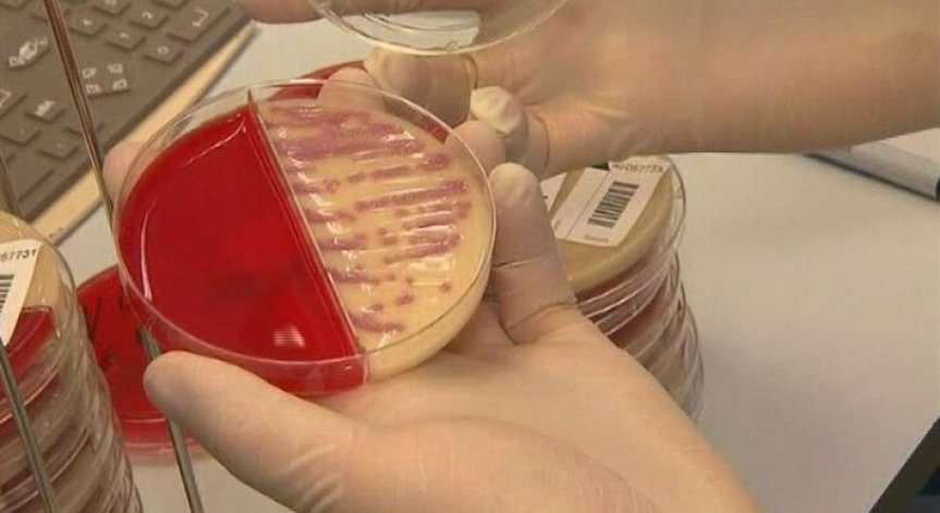 И България ще иска компенсации за производителите на краставици