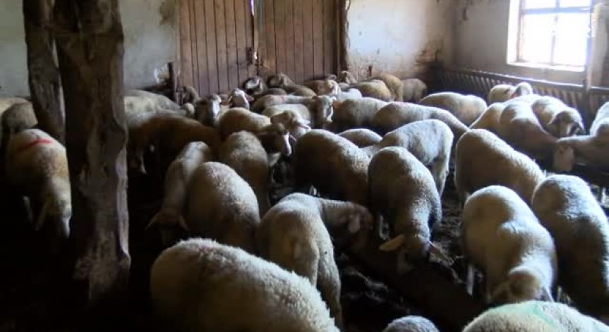 Таванът на помощите за фермери скача от средата на март