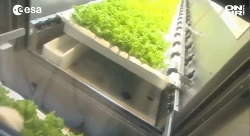 Българска космическа оранжерия може да изхранва първата колония на Марс