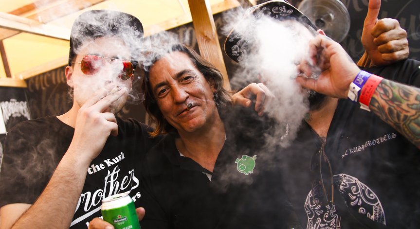 Канабисът - нещо нормално? Рискът от катастрофа под въздействието му е слаб, но значим