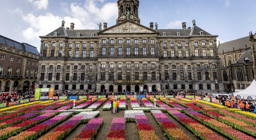 Кампания в Нидерландия: 