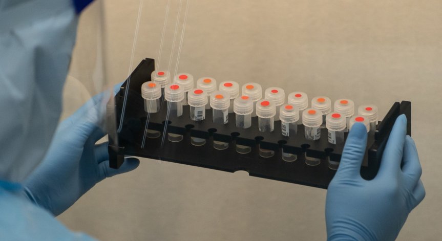 От събота Сърбия въвежда PCR тест за влизащите от България