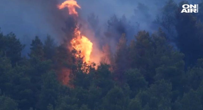 Горски пожар бушува в Гърция, 170 огнеборци се борят със стихията