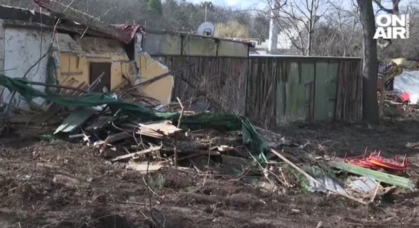 СОС иска да заседава с Трайков и собственика на Борисовата градина за незаконната сеч