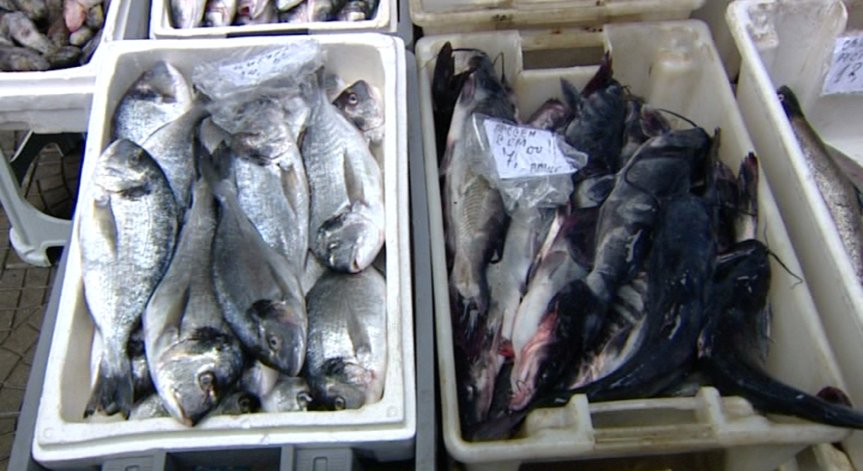 Шарани ли сме?